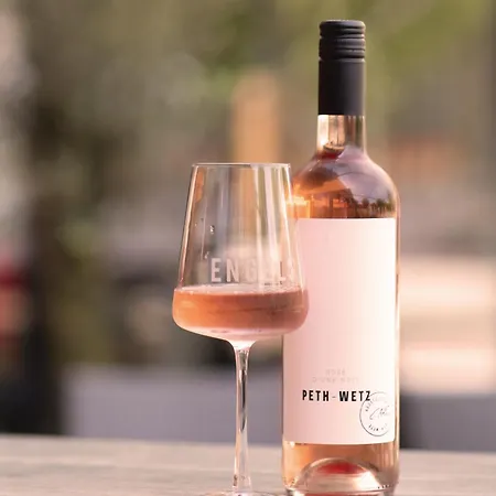 Hotel Engels فندق *